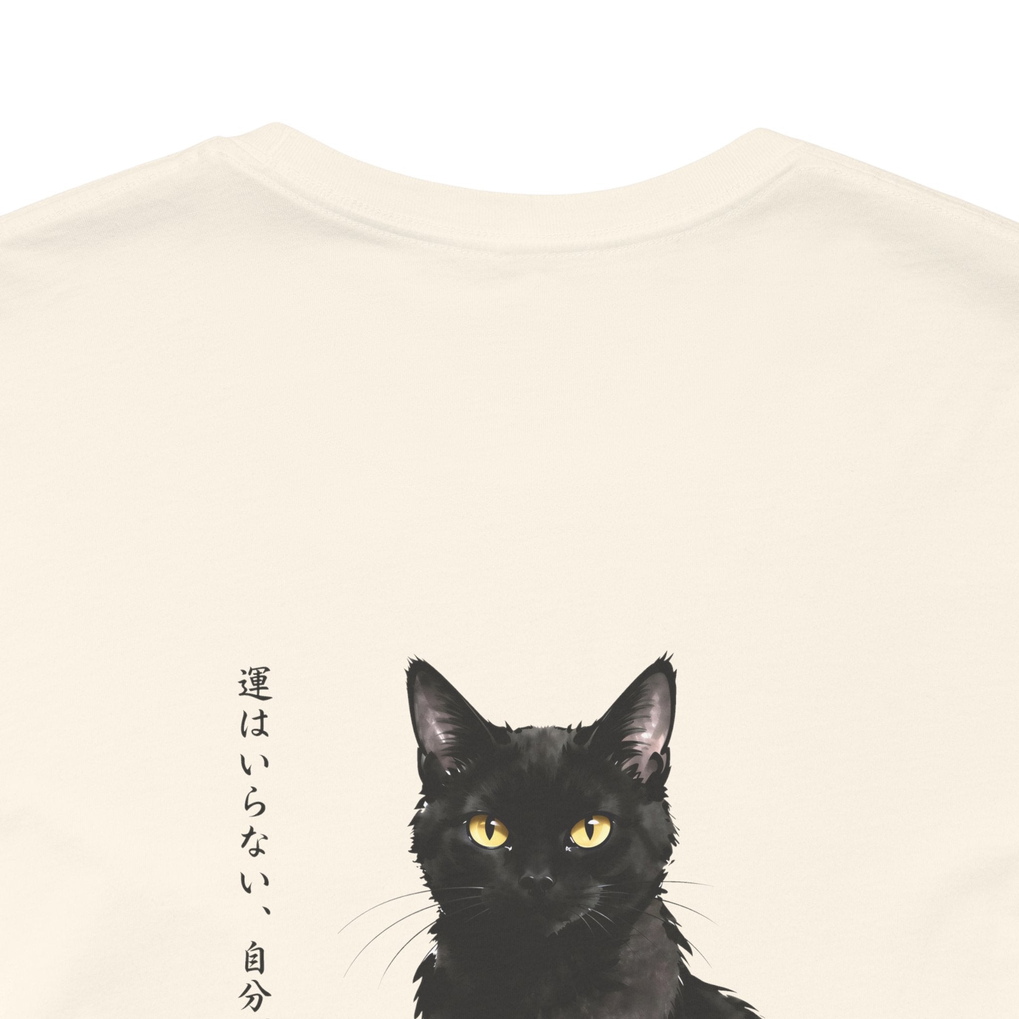 The Black Cat | ILTO