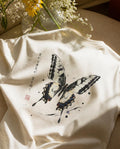 The Butterfly | ILTO